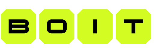 BOIT Cyber Security logo